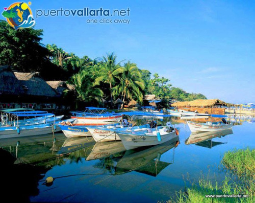 tumblr_ny2da70ej61qa39tbo1_500