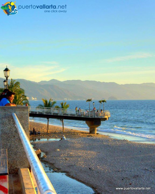 tumblr_nydu79al2W1qa39tbo1_500