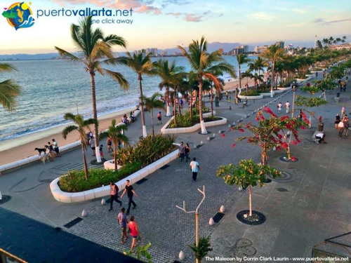 tumblr_nyojt5ERhJ1qa39tbo1_500