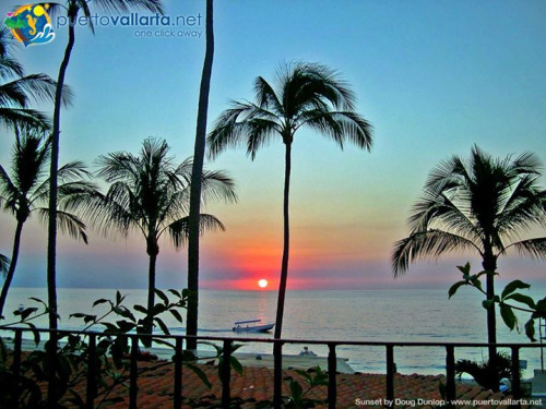 tumblr_nyr1sjmEIT1qa39tbo1_500