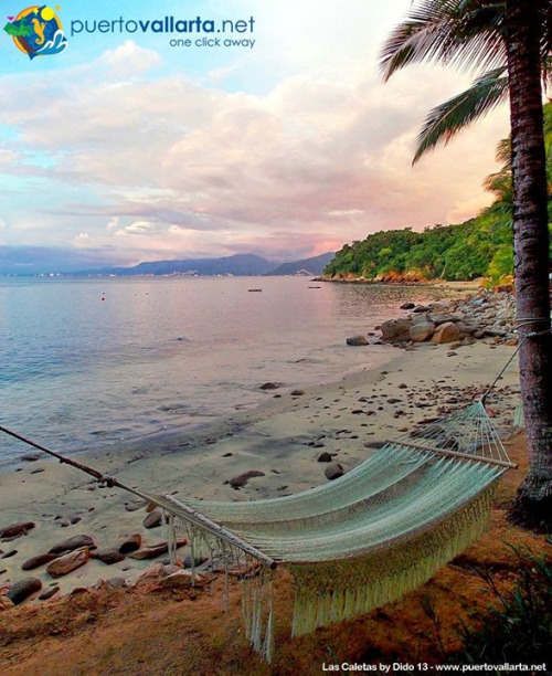 tumblr_nyu544MXvX1qa39tbo1_500