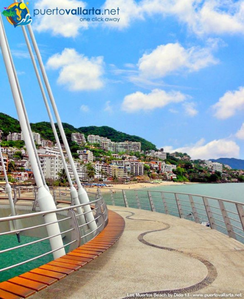 tumblr_nz7347TYi01qa39tbo1_500