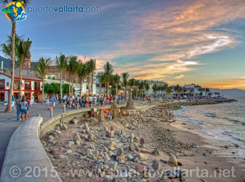 tumblr_nzj3c1Zg5L1qa39tbo1_500