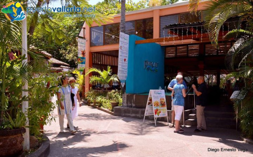 tumblr_o0aak0hlge1qa39tbo1_500