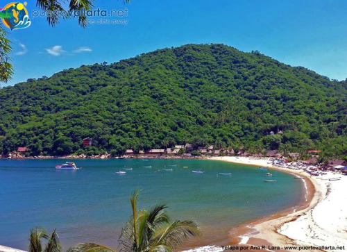 tumblr_o1fl2x1SbU1qa39tbo1_500