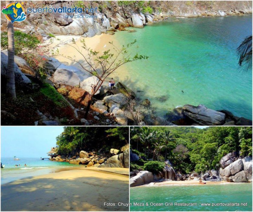 tumblr_o1kar2e0Yr1qa39tbo1_500