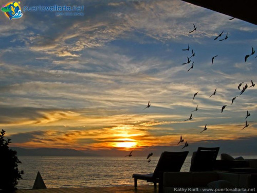 tumblr_o1l4xmIhEe1qa39tbo1_500