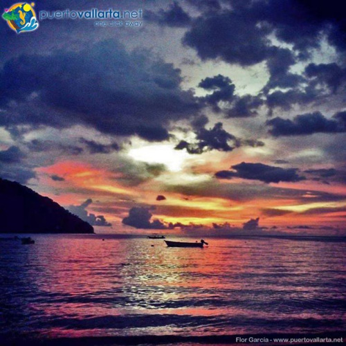 tumblr_o25h3yCnex1qa39tbo1_500