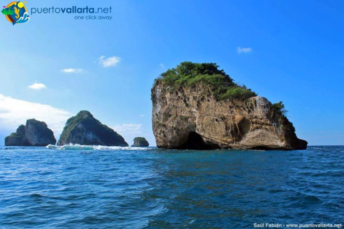 tumblr_o28x3exPLJ1qa39tbo1_500