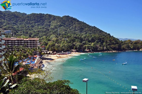 tumblr_o2ul5h11fr1qa39tbo1_500