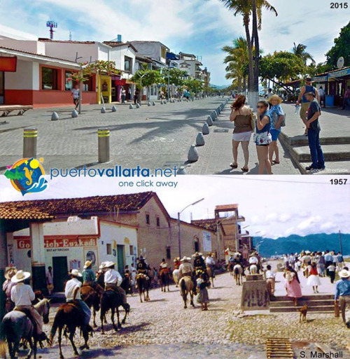 tumblr_o34gd9XLWY1qa39tbo1_500