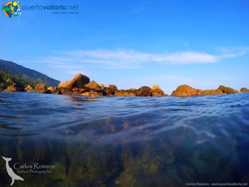 tumblr_o3l3fn1uhe1qa39tbo1_500