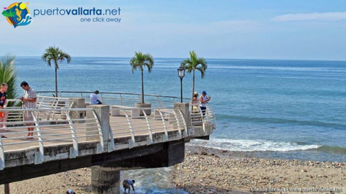 tumblr_o4nsb9JYig1qa39tbo1_500