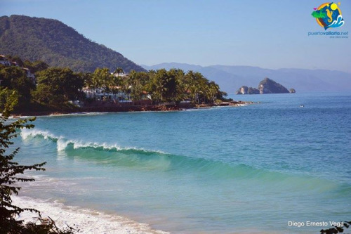 tumblr_o6edldRmxt1qa39tbo1_500