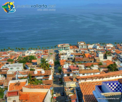 tumblr_o6s3ovvFeW1qa39tbo1_500