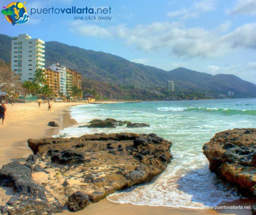 tumblr_o70le16oBd1qa39tbo1_500