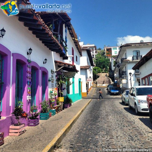 tumblr_o7ld8lTeRC1qa39tbo1_500