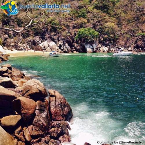 tumblr_o7wessnGLk1qa39tbo1_500