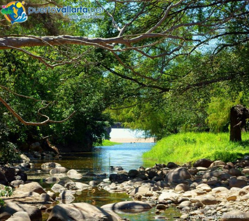 tumblr_o8ctoemvA81qa39tbo1_500