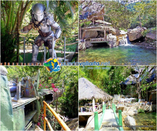 tumblr_o8rmq7gTjB1qa39tbo1_500