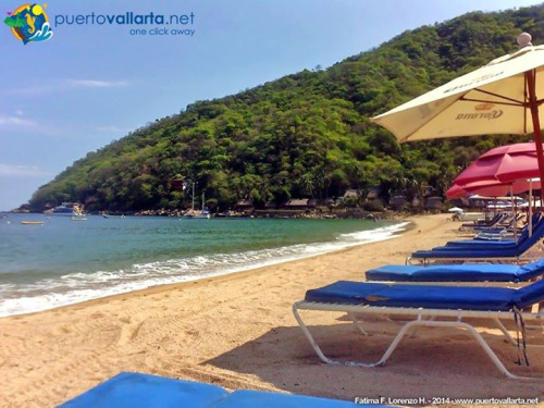 tumblr_o9uhv8edM91qa39tbo1_500