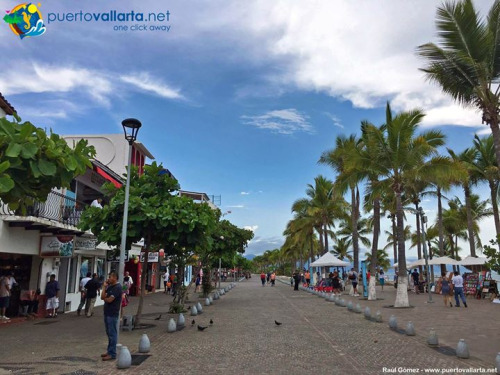 tumblr_oa5vpdyWUI1qa39tbo1_500