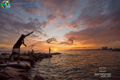 tumblr_obbe64PBQd1qa39tbo1_500