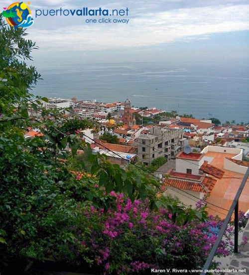 tumblr_oc0g3r1IaZ1qa39tbo1_500