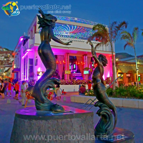 tumblr_oc6qajW5ey1qa39tbo1_500