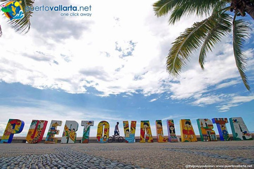 tumblr_of5w3kv6XL1qa39tbo1_500