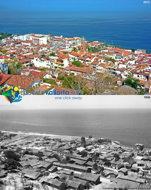 tumblr_ojsefl1lGF1qa39tbo1_500