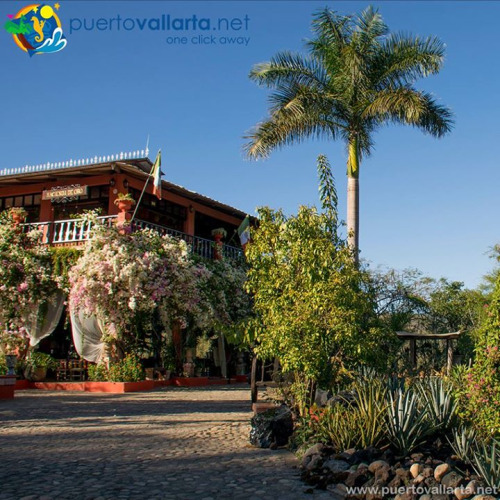 tumblr_okvajg7u2L1qa39tbo1_500