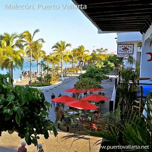 tumblr_orv3y2Qija1qa39tbo1_500