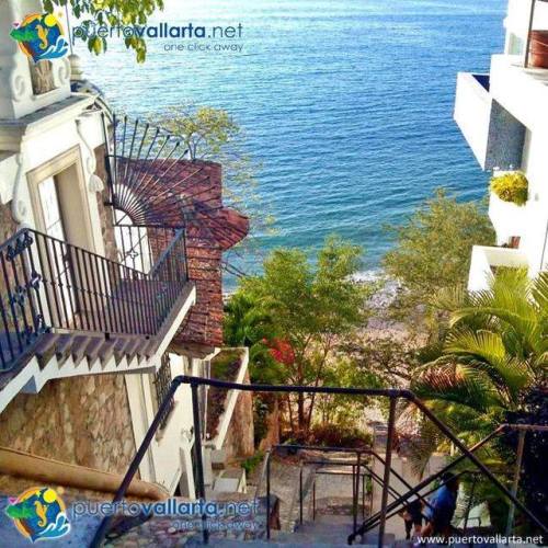 tumblr_ot20l1mP2j1qa39tbo1_500