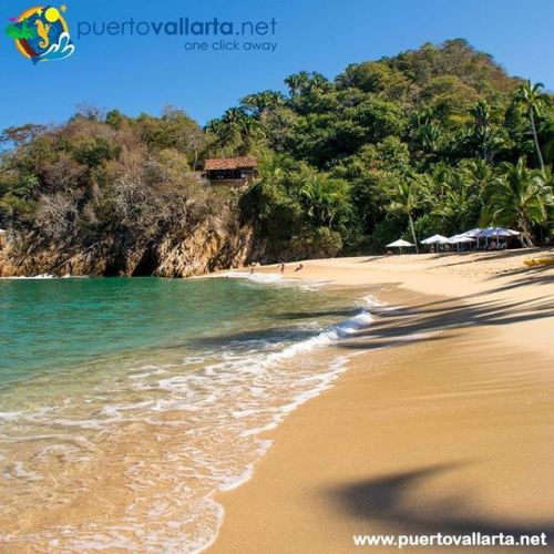 tumblr_ov7pavJnzf1qa39tbo1_500