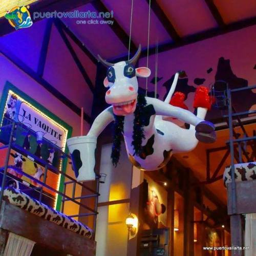 tumblr_oweczd53c51qa39tbo1_500