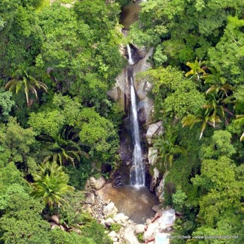 tumblr_oz9qniCIv41qa39tbo1_500