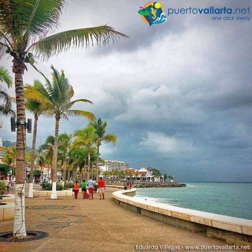 tumblr_ozy1huDJgQ1qa39tbo1_500