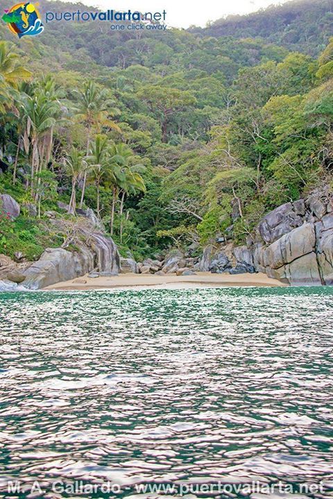 tumblr_p07af0GXe81qa39tbo1_500