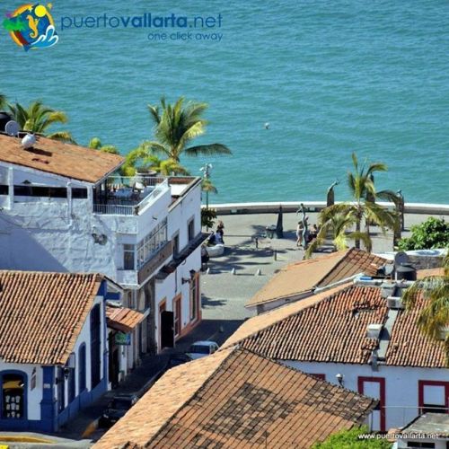 tumblr_p0z3arvjjt1qa39tbo1_500