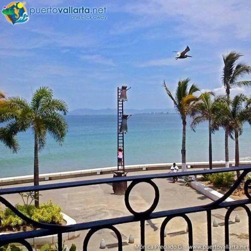 tumblr_p294btjtW31qa39tbo1_500