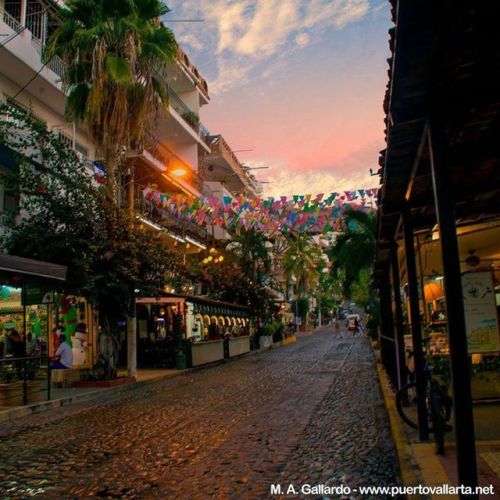 tumblr_p2tqzoKtg91qa39tbo1_500