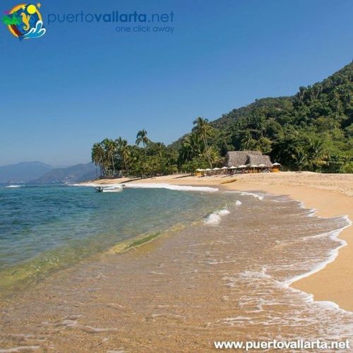 tumblr_p2xe6gSdOL1qa39tbo1_500