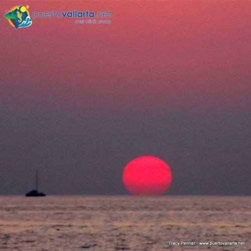 tumblr_p3g672LOAY1qa39tbo1_500