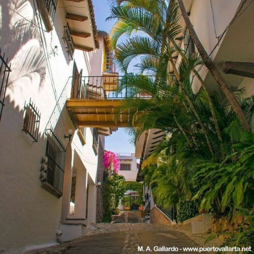 tumblr_p3humuX03s1qa39tbo1_500