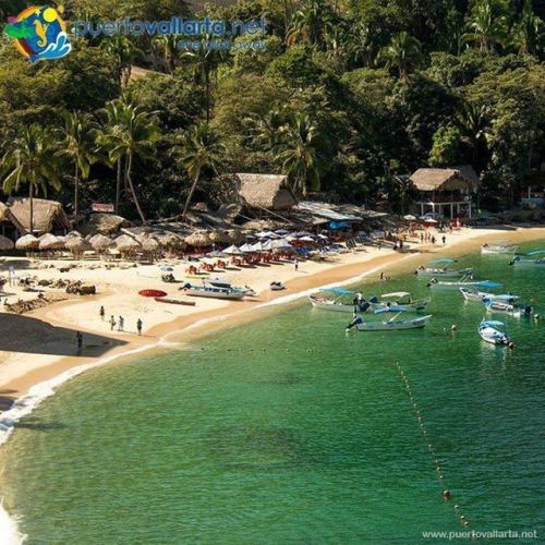 tumblr_p3v18viQWX1qa39tbo1_500