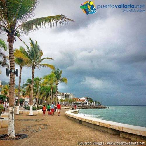 tumblr_p49qz075zZ1qa39tbo1_500