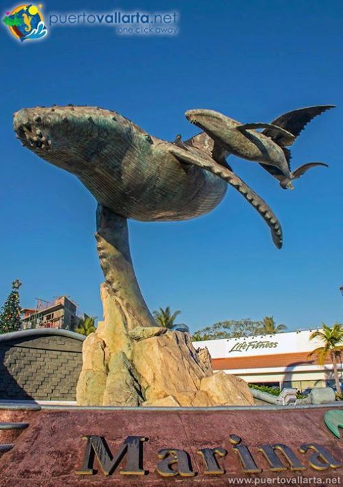 tumblr_p4vt4jOS8g1qa39tbo1_500