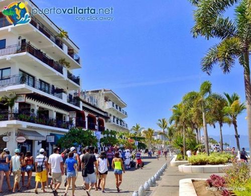 tumblr_p6fnyqICNk1qa39tbo1_500