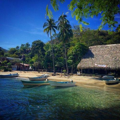 tumblr_p735uwDElC1qa39tbo1_500